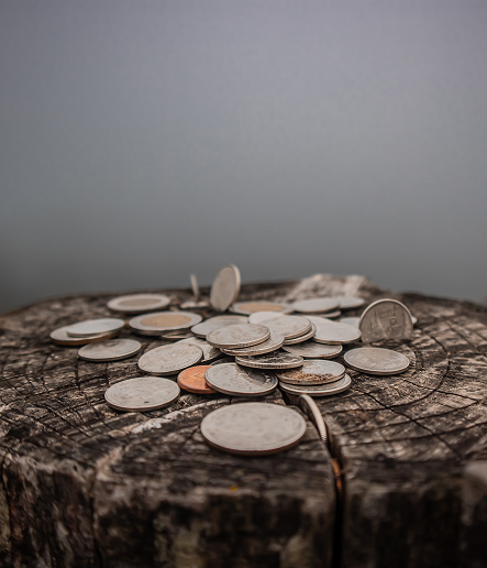 Coins scattered on a wooden stump